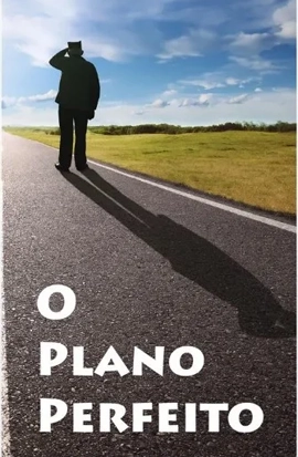 O Plano Perfeito