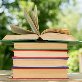 livros - Livraria Verdade Divina