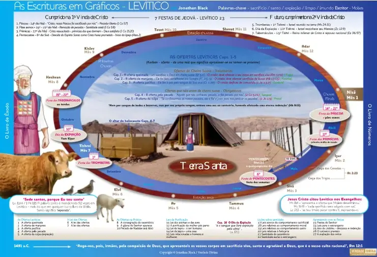 LEVÍTICO - GRÁFICO - VERDADE DIVINA
