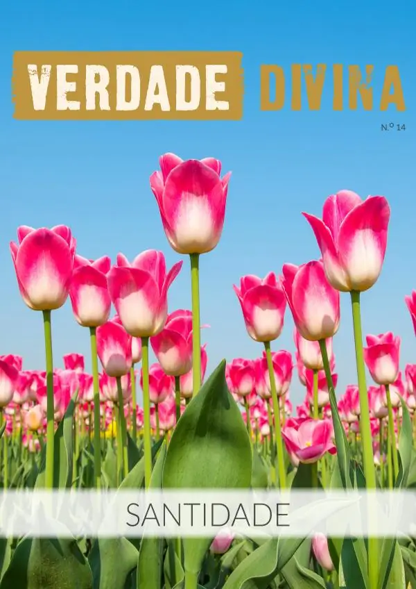 Santidade - REVISTAS DIGITAIS - VERDADE DIVINA